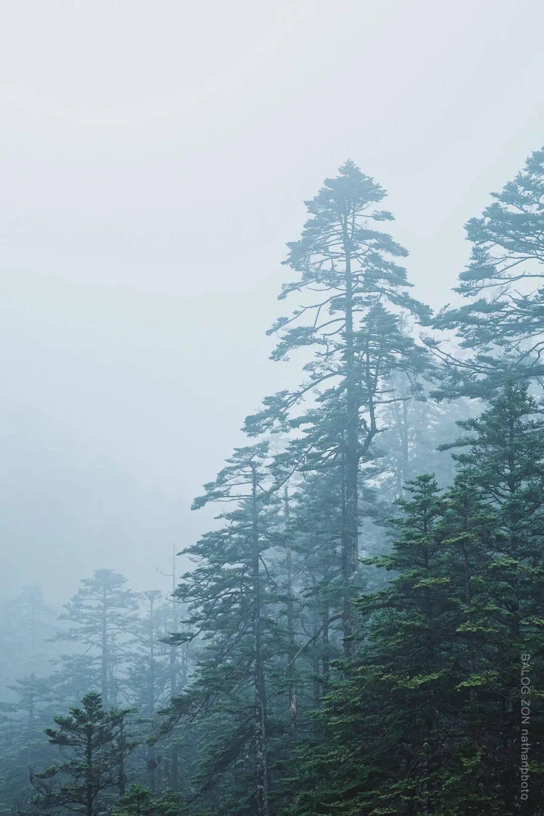 腾讯王卡如何取消套餐？游戏画面