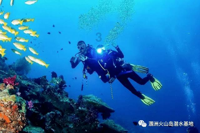 全村的希望