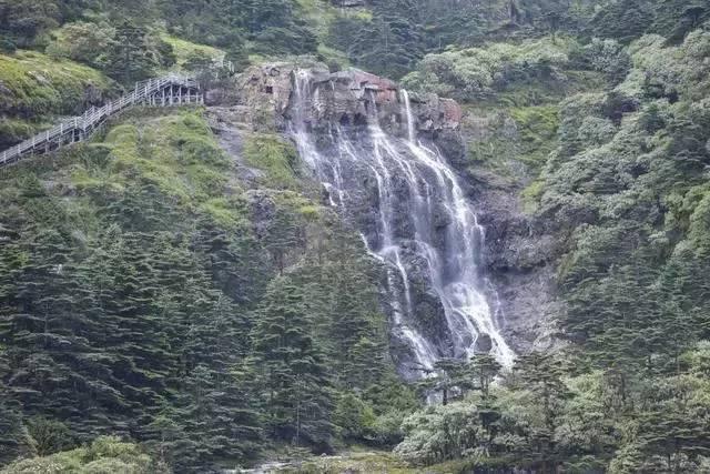 懒惰男孩拯救